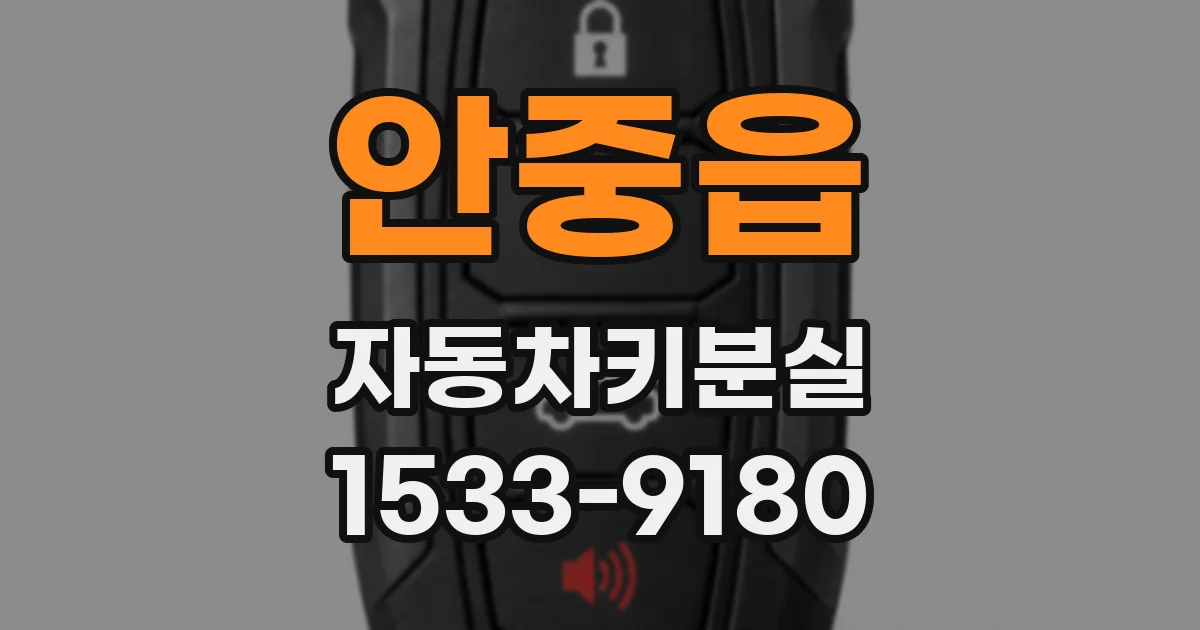 안중읍 자동차키분실