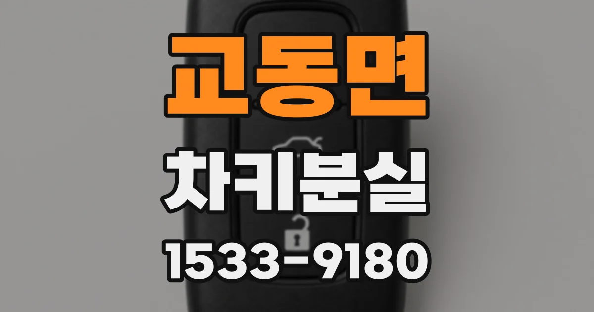 교동면 차키분실