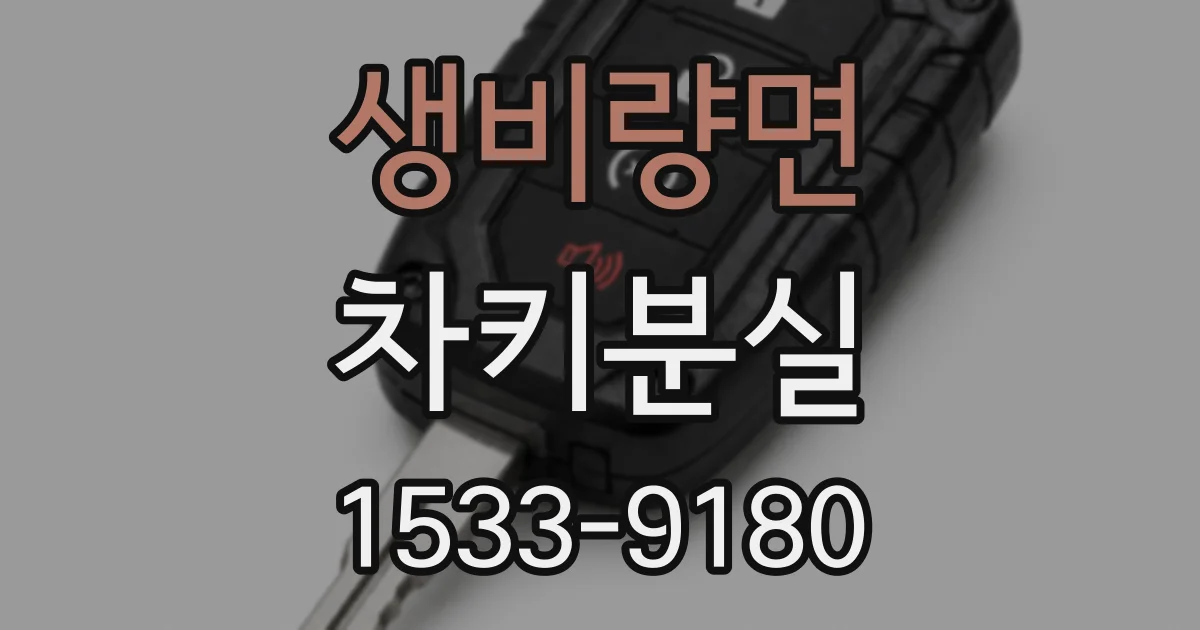 생비량면 차키분실