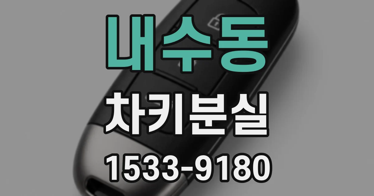 내수동 차키분실