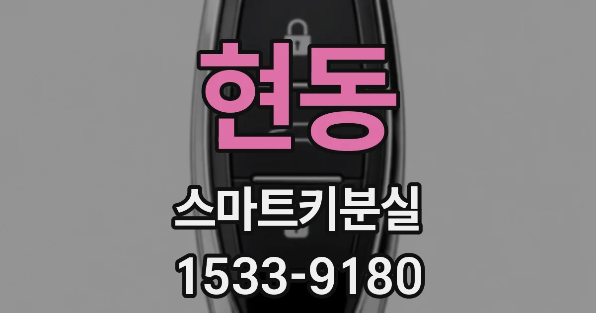 현동 스마트키분실