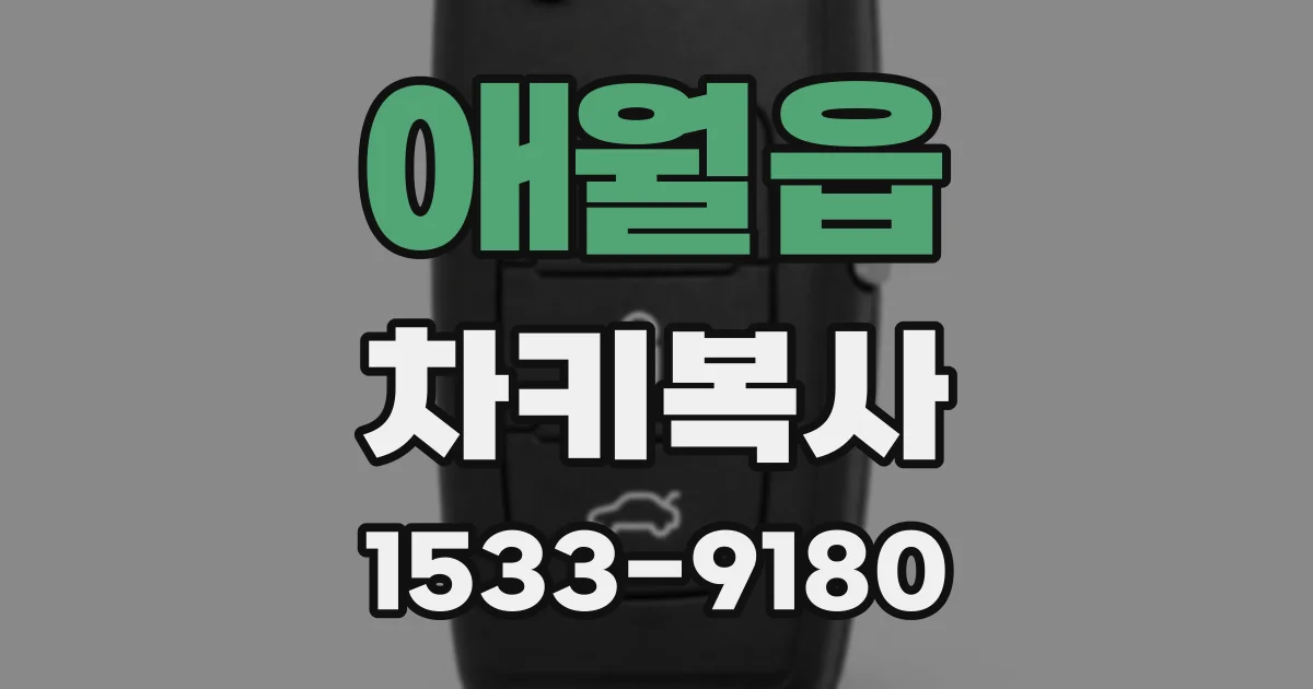 애월읍 차키복사