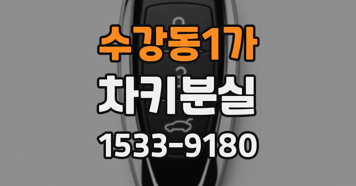 수강동1가 차키분실