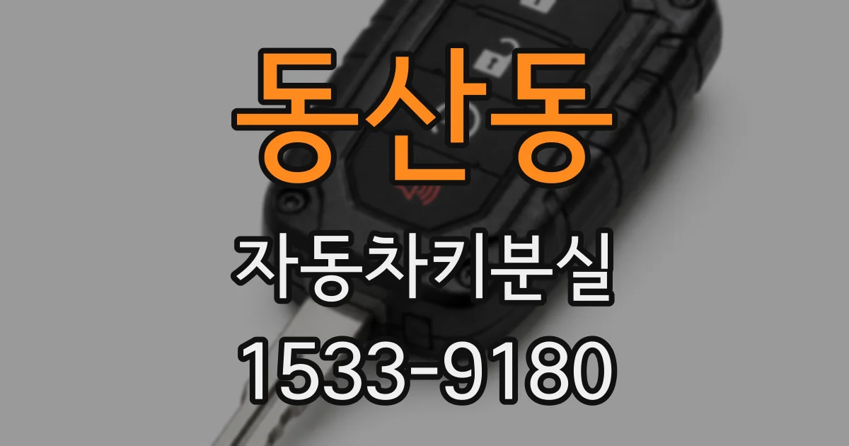 동산동 자동차키분실