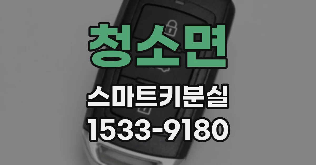 청소면 스마트키분실