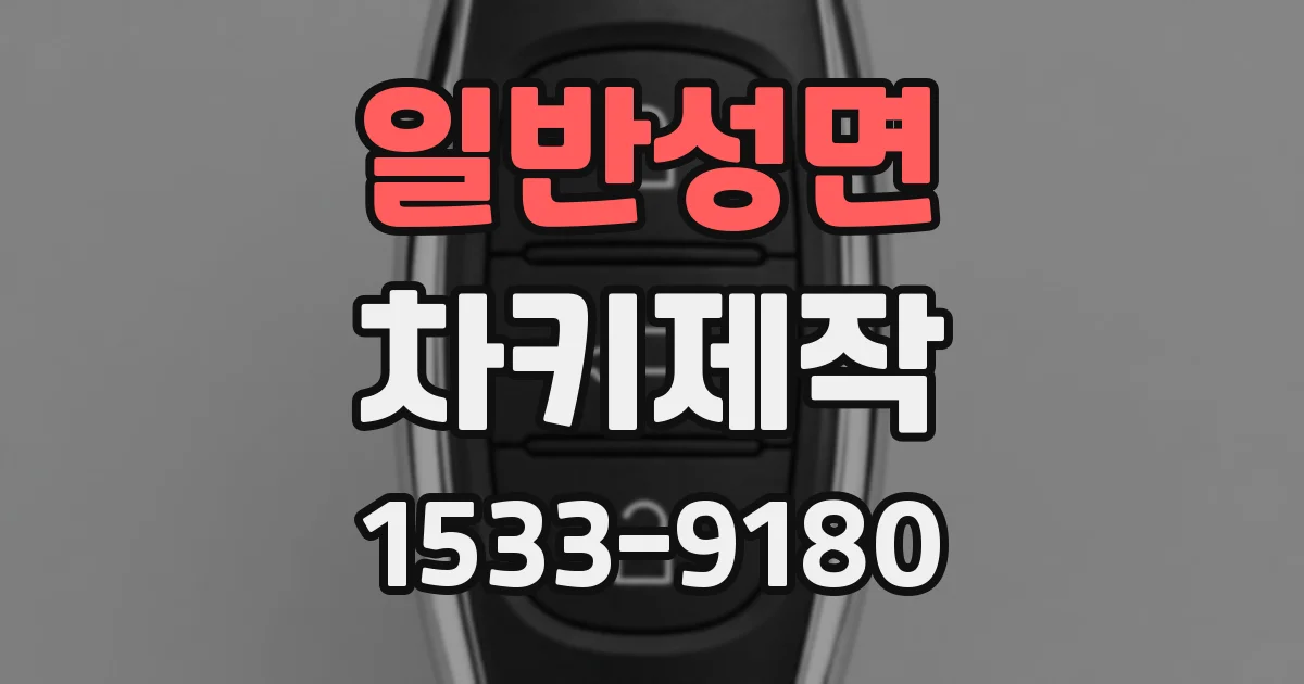 일반성면 차키제작