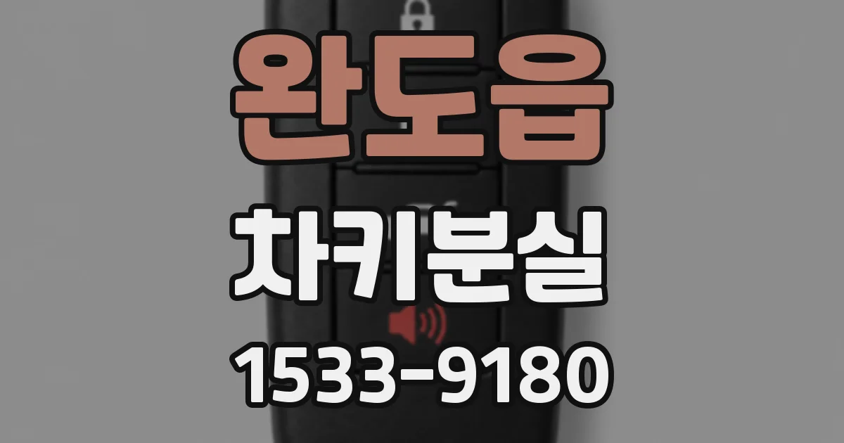 완도읍 차키분실