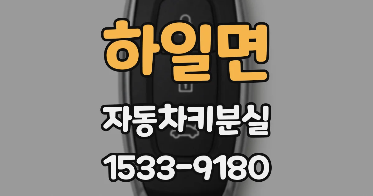하일면 자동차키분실