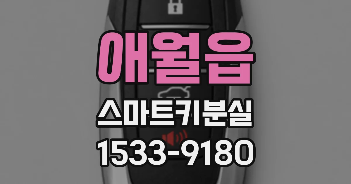 애월읍 스마트키분실