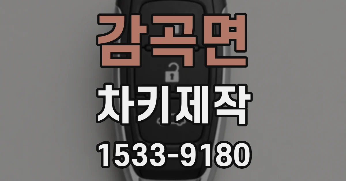 감곡면 차키제작