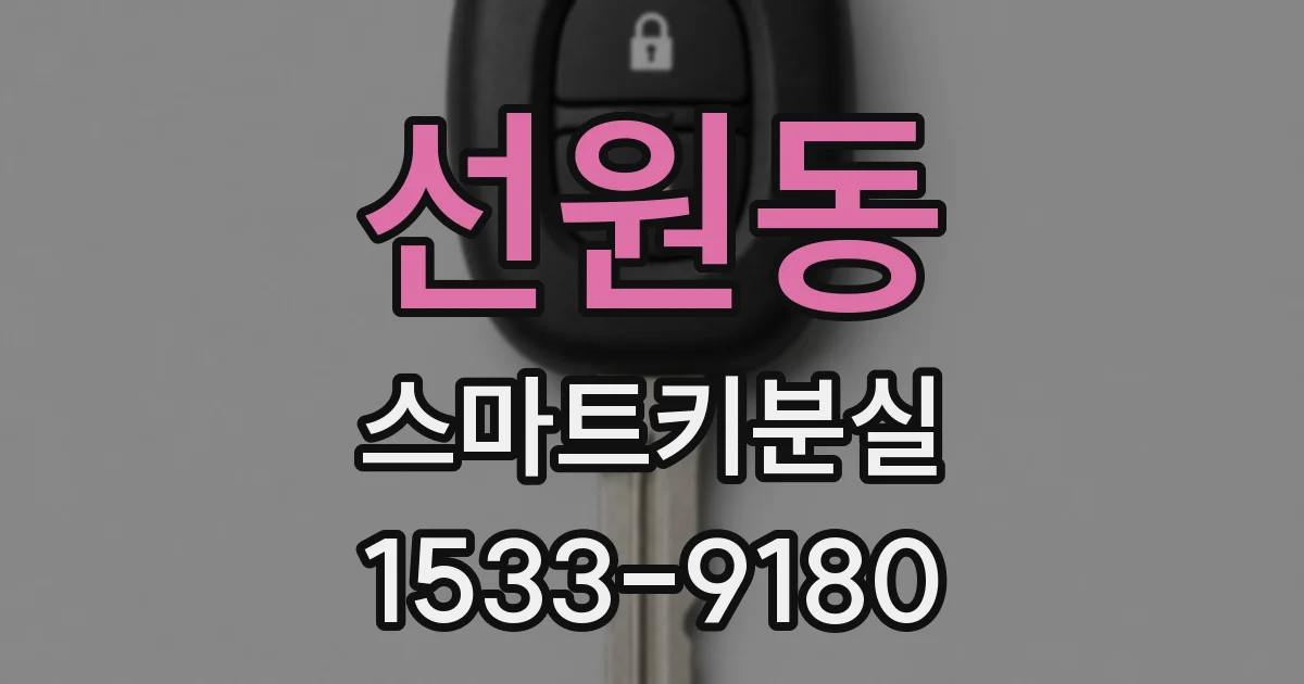 선원동 스마트키분실