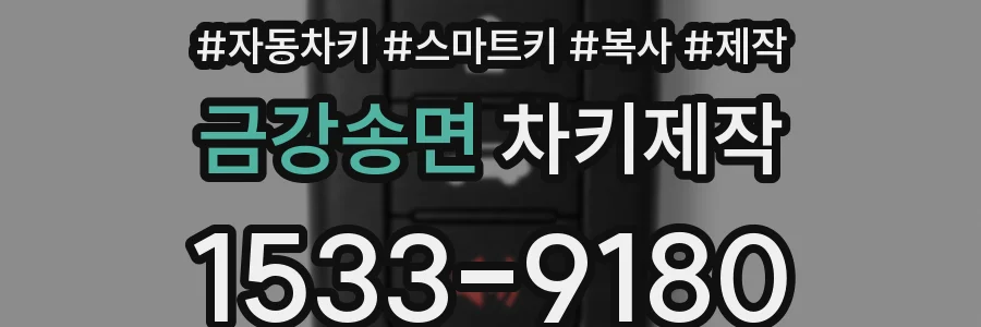 금강송면 차키제작