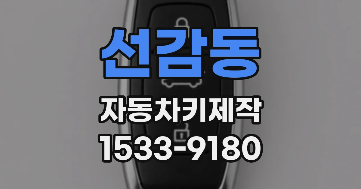 선감동 자동차키제작