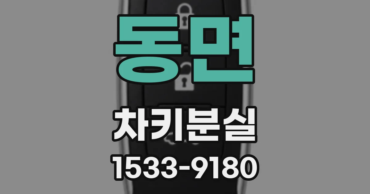동면 차키분실