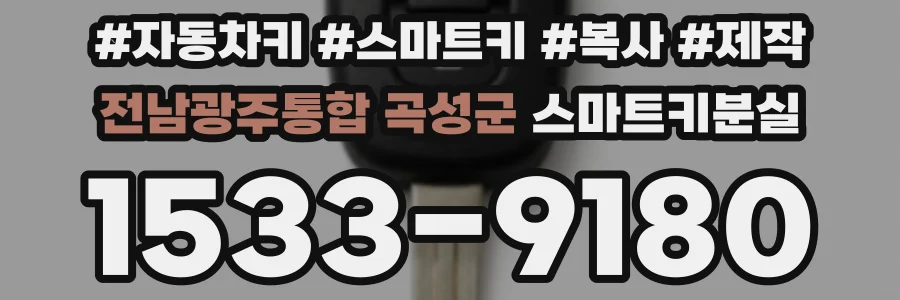 전남광주통합 곡성군 스마트키분실