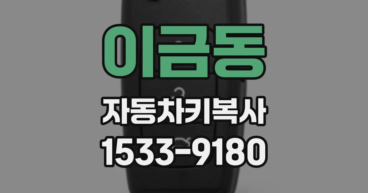 이금동 자동차키복사