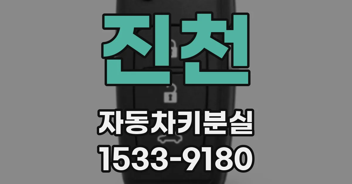 진천 자동차키분실