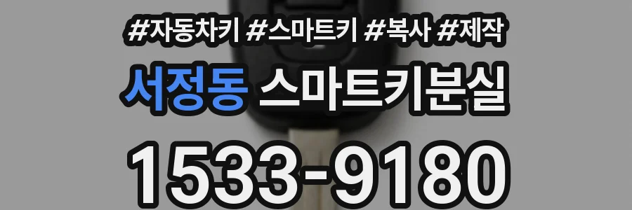 서정동 스마트키분실