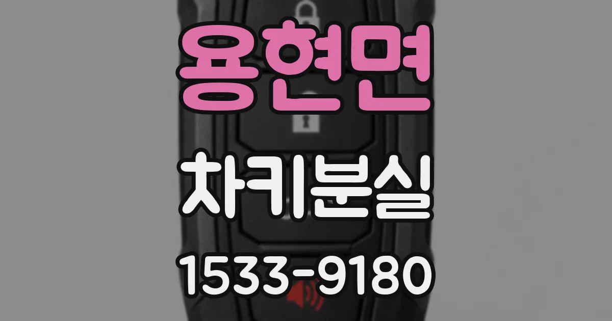 용현면 차키분실