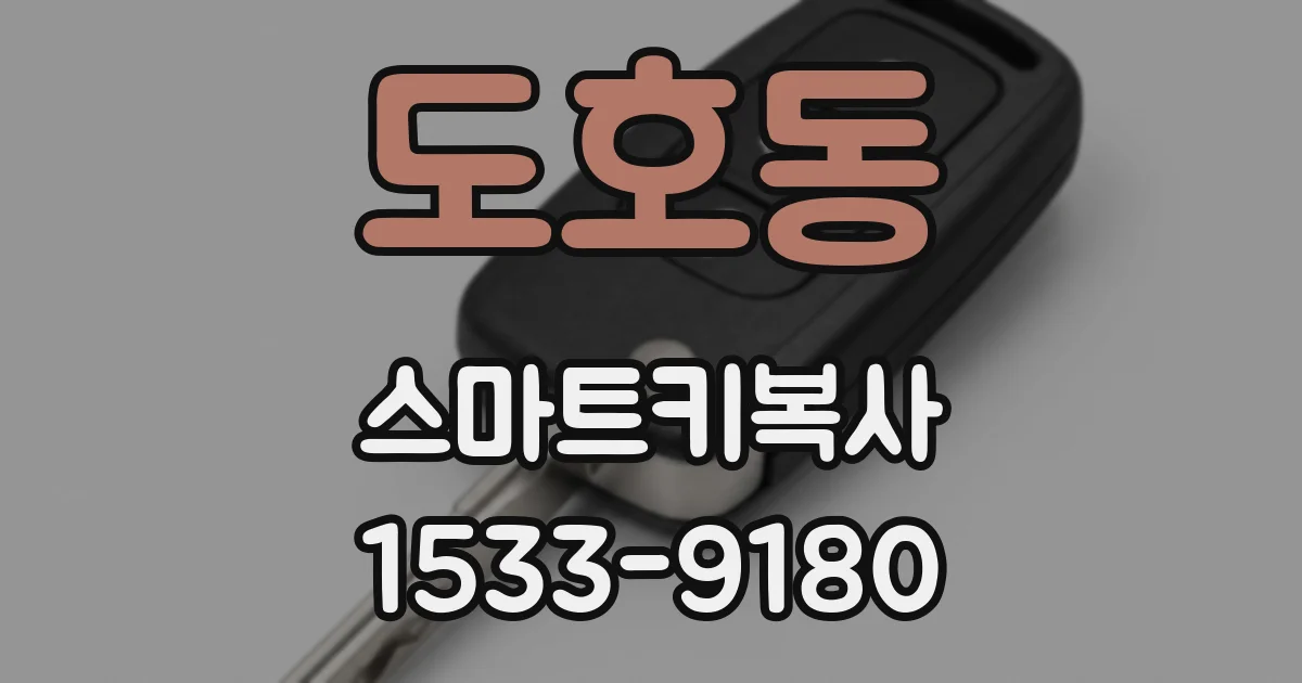 도호동 스마트키복사