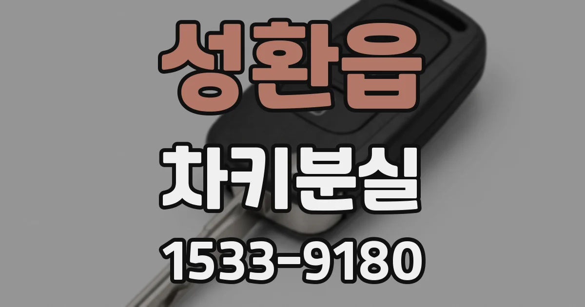 성환읍 차키분실