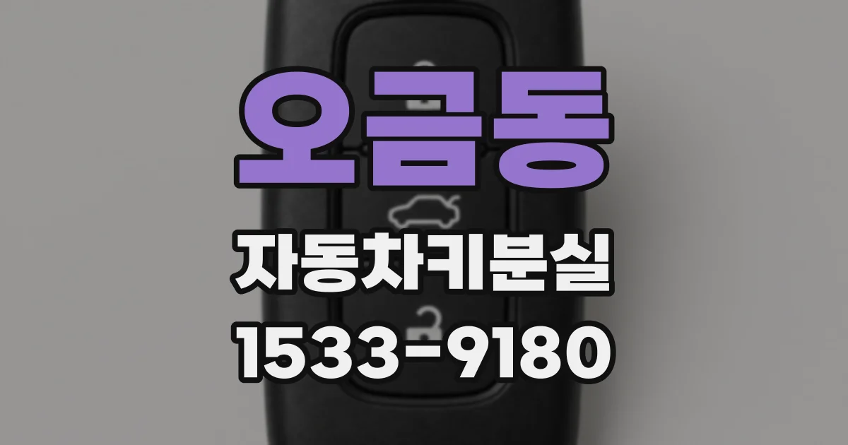 오금동 자동차키분실