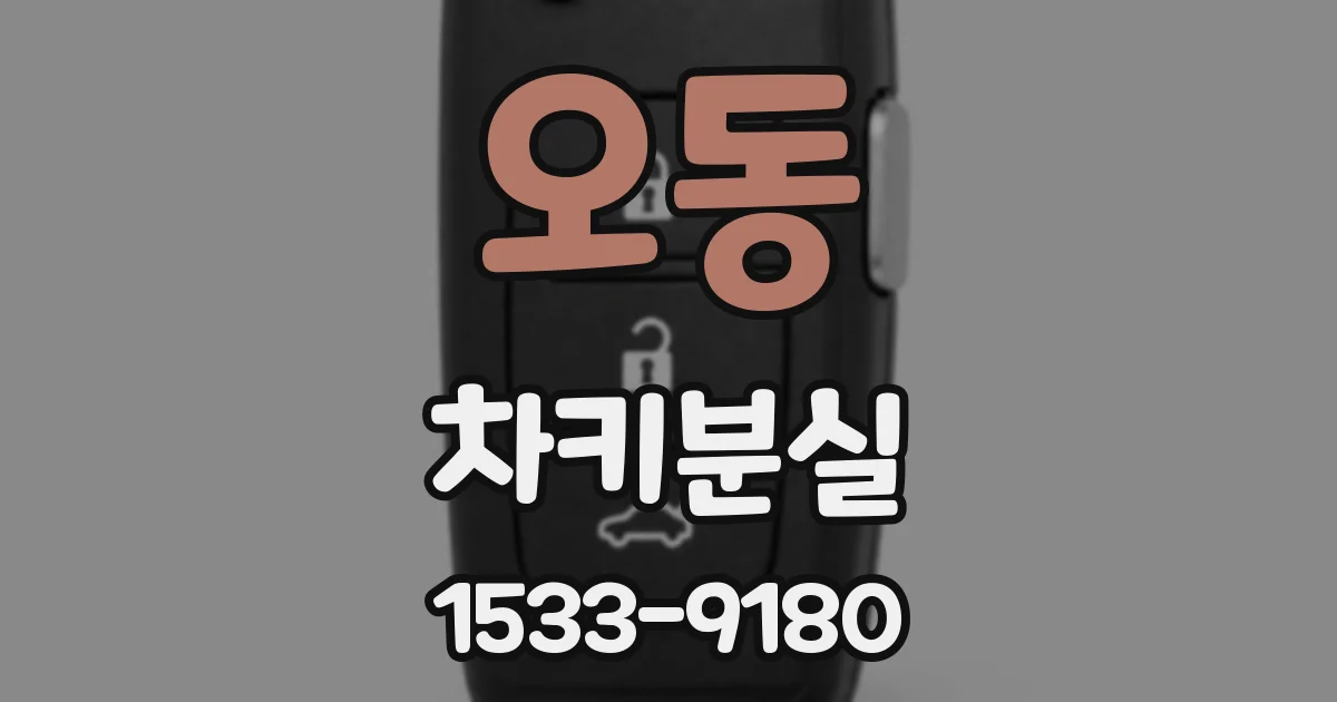 오동 차키분실