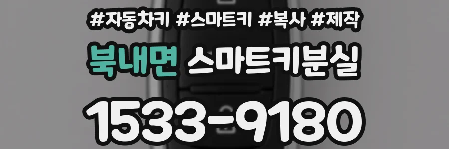 북내면 스마트키분실