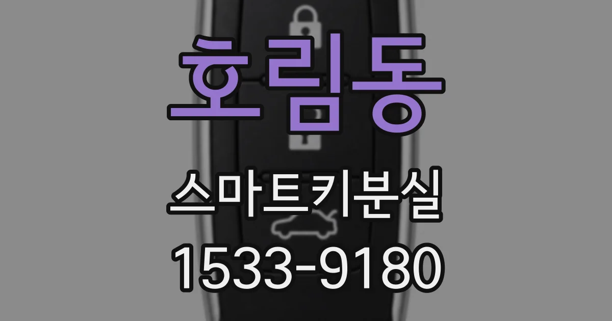 호림동 스마트키분실