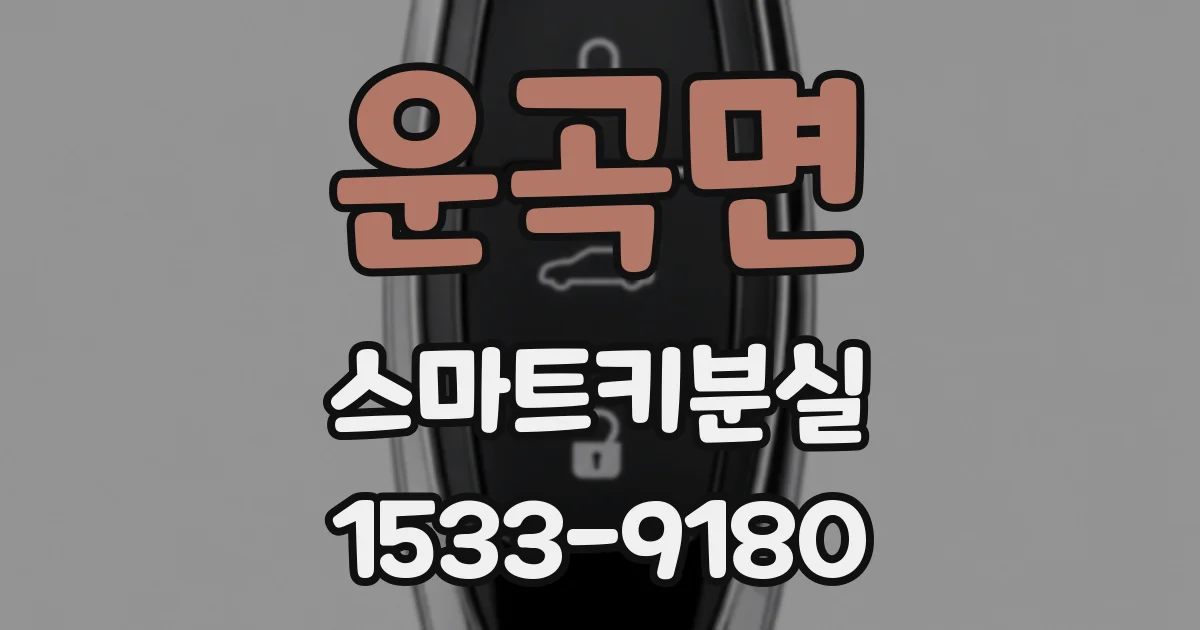운곡면 스마트키분실