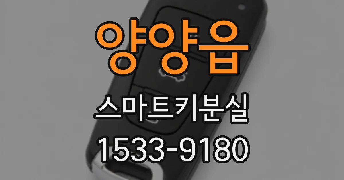 양양읍 스마트키분실