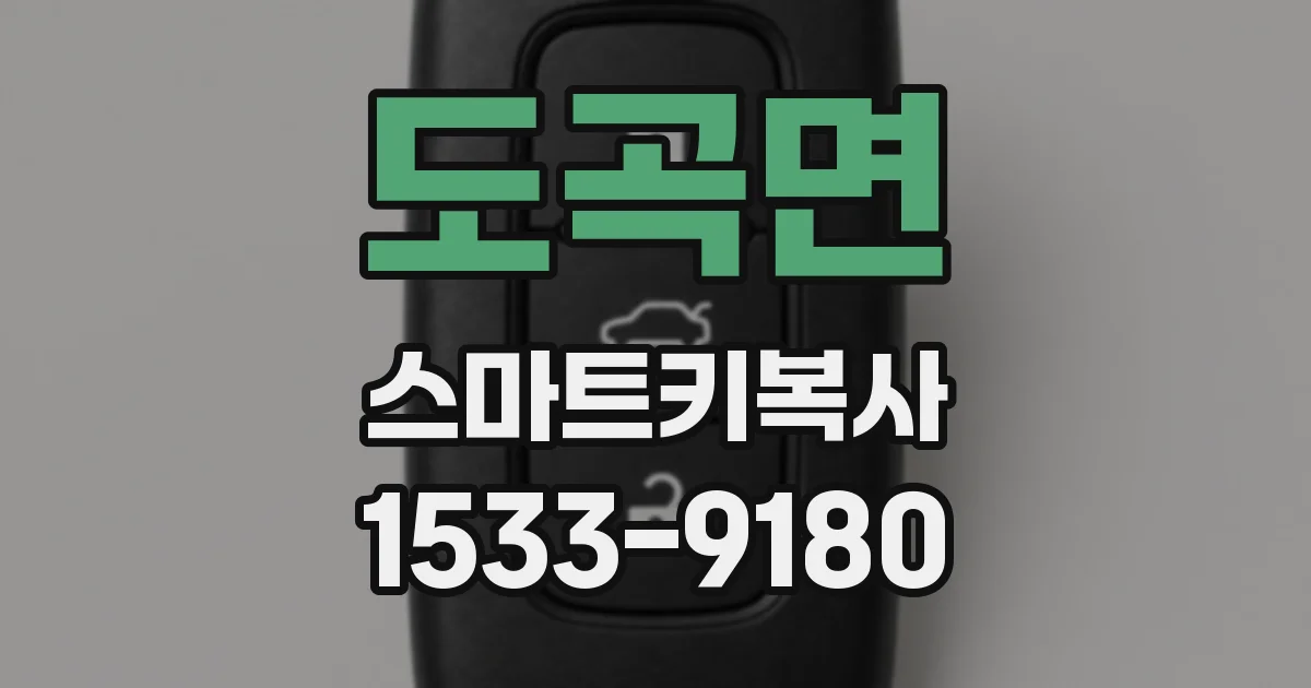 도곡면 스마트키복사