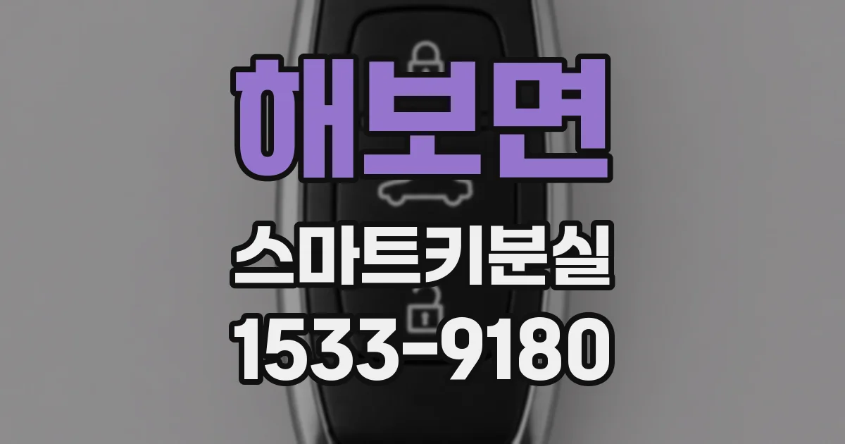 해보면 스마트키분실