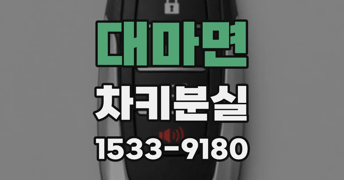 대마면 차키분실