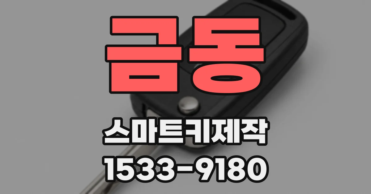 금동 스마트키제작