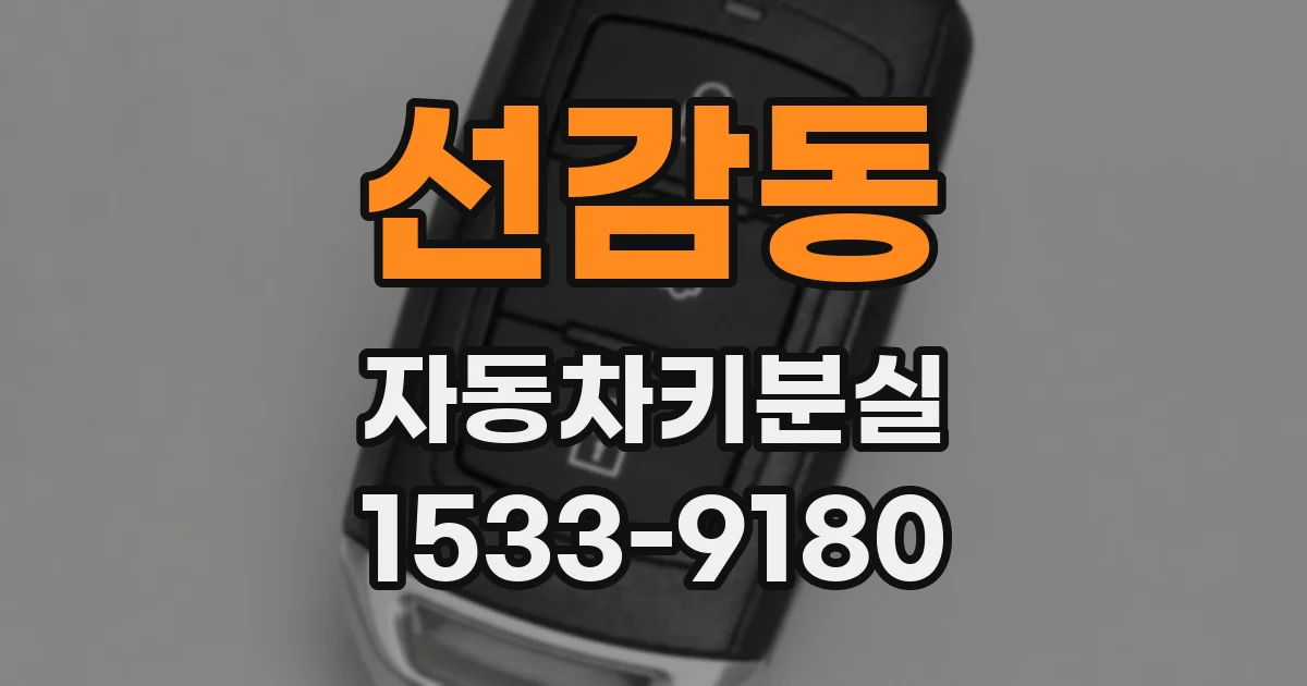 선감동 자동차키분실