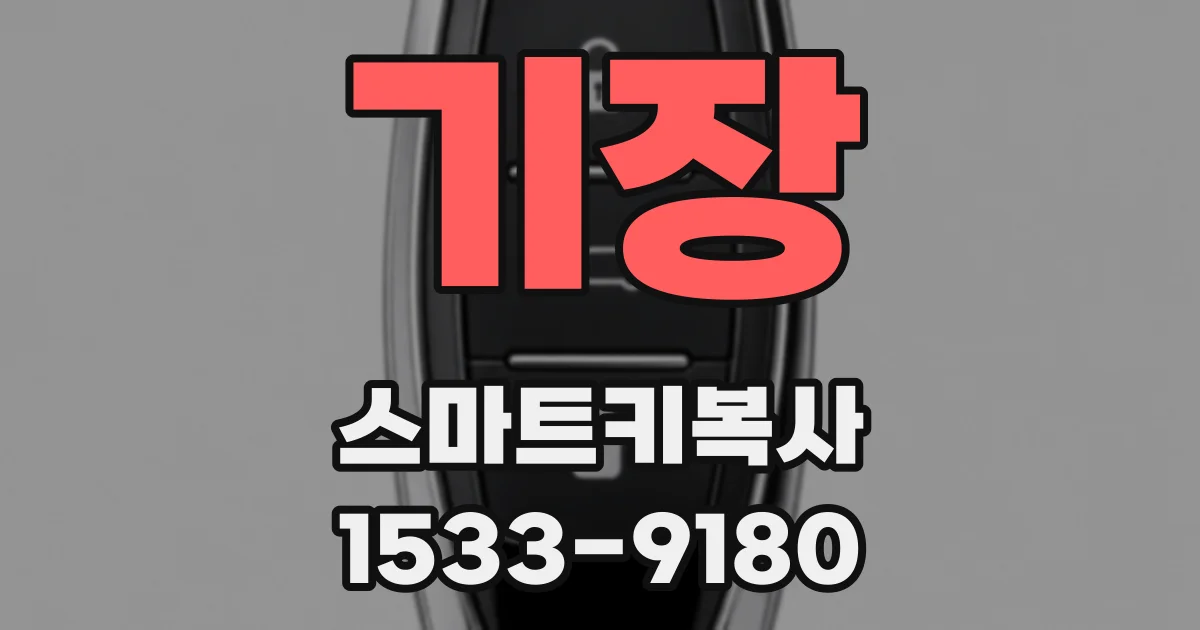 기장 스마트키복사