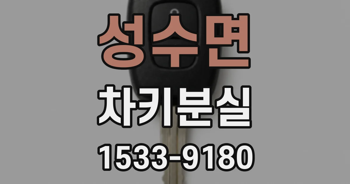 성수면 차키분실
