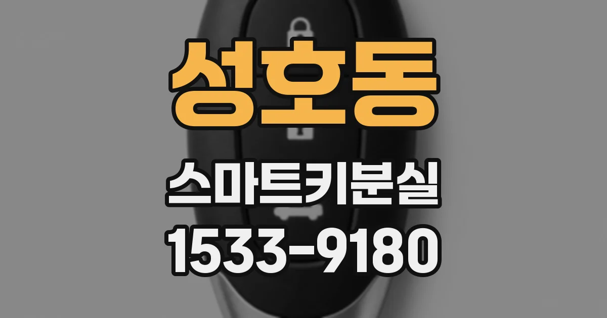 성호동 스마트키분실