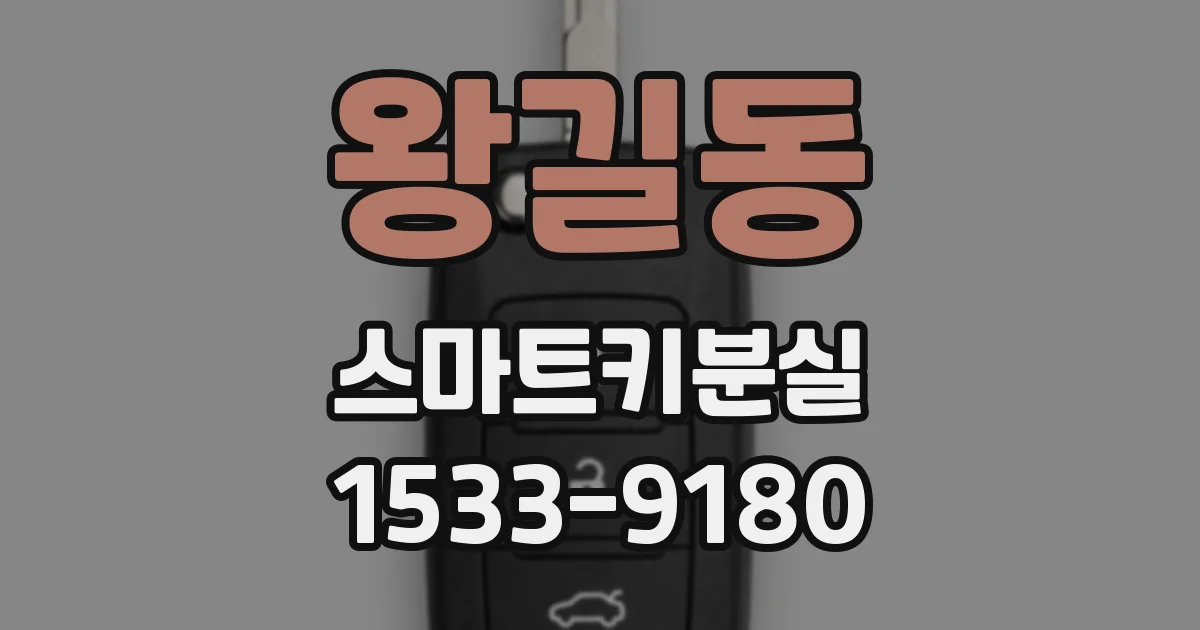 왕길동 스마트키분실