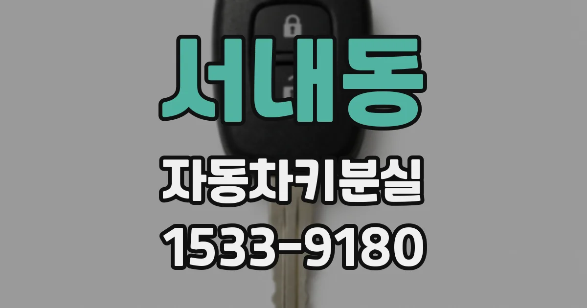 서내동 자동차키분실