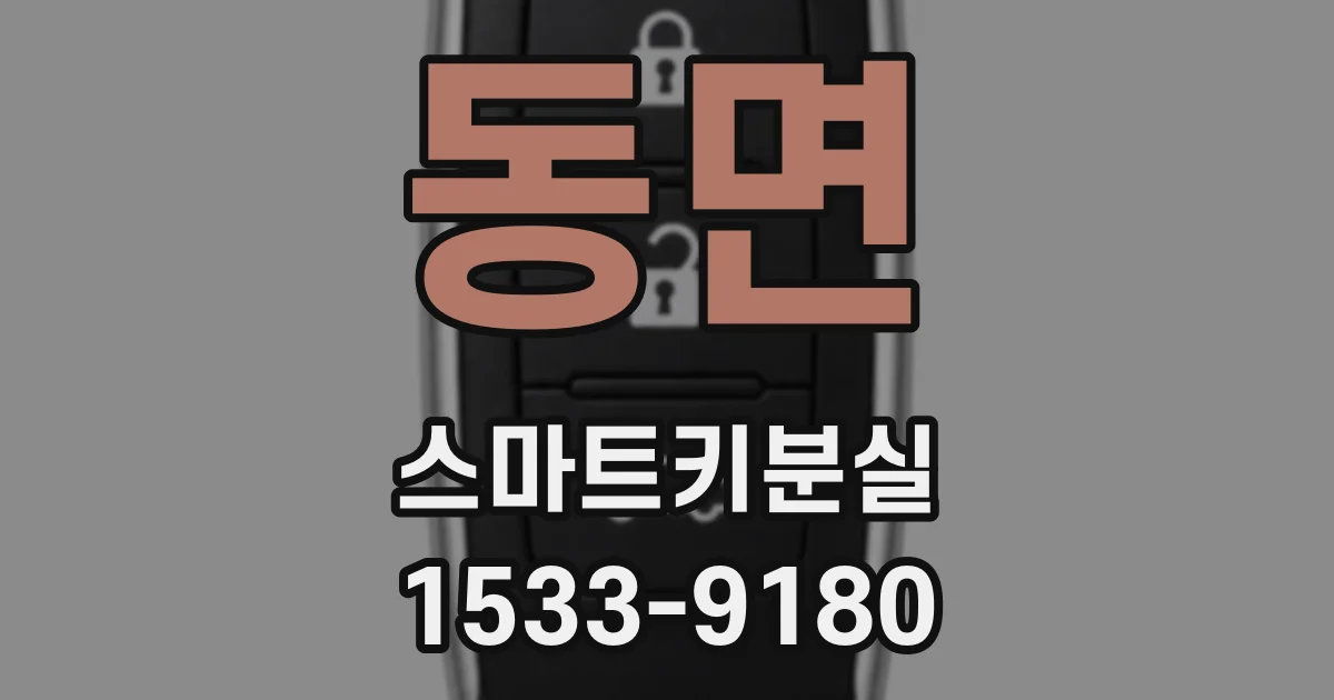 동면 스마트키분실