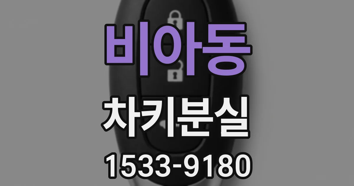 비아동 차키분실