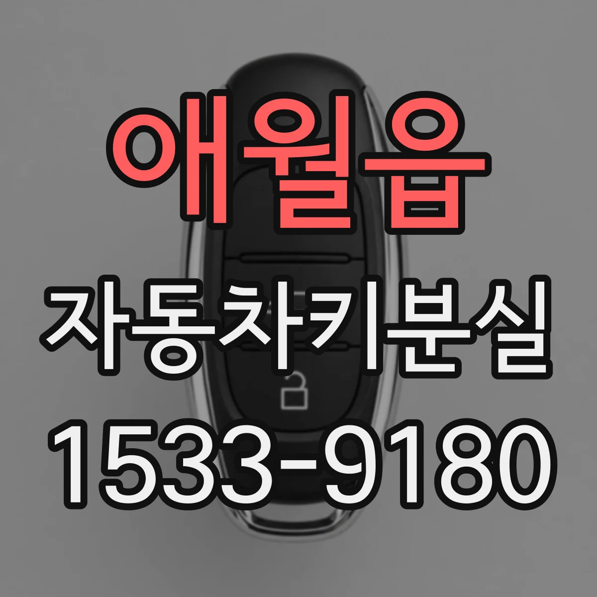 애월읍 자동차키분실
