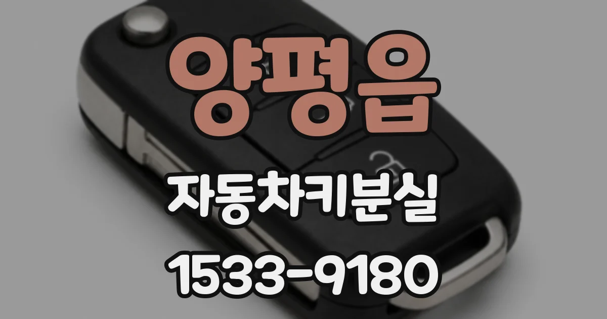 양평읍 자동차키분실