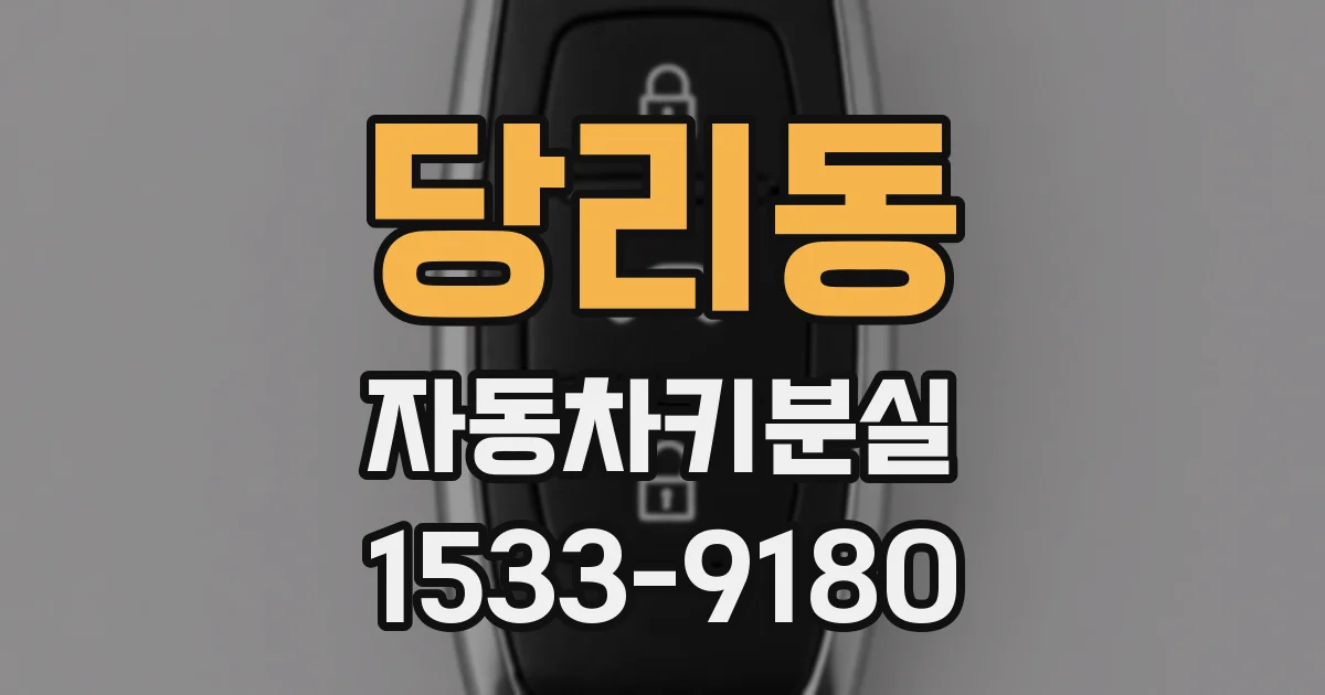 당리동 자동차키분실