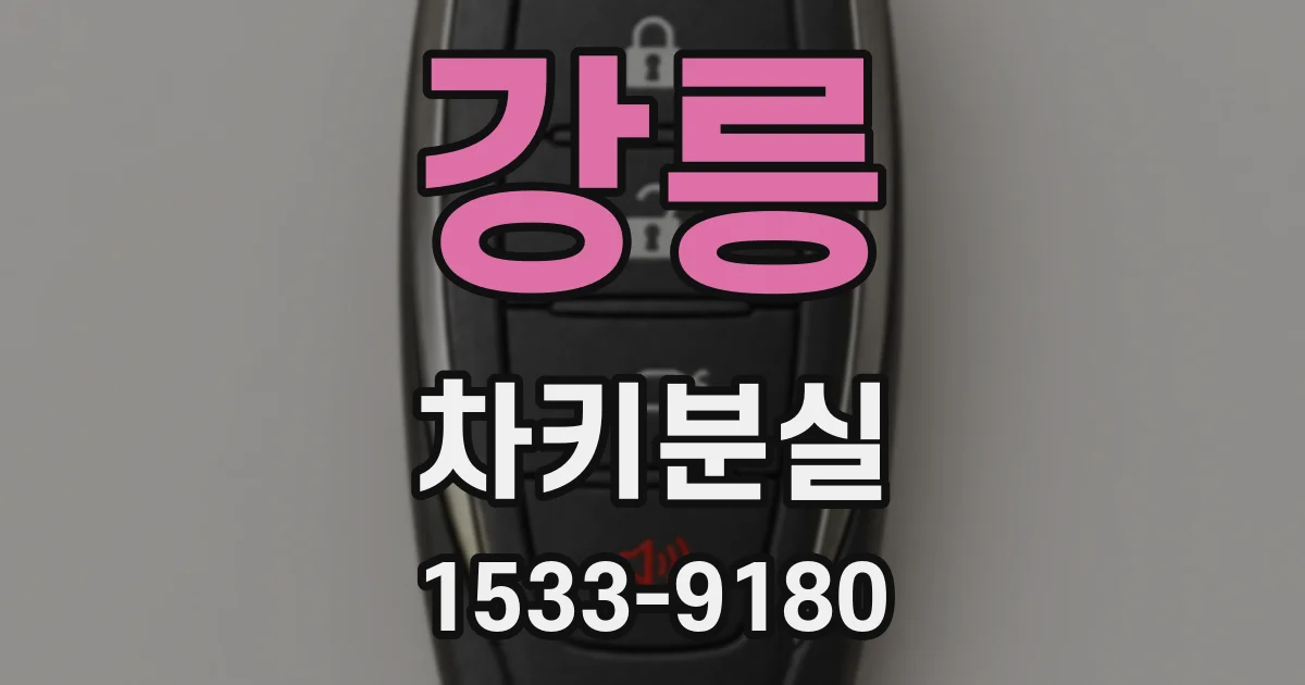 강릉 차키분실