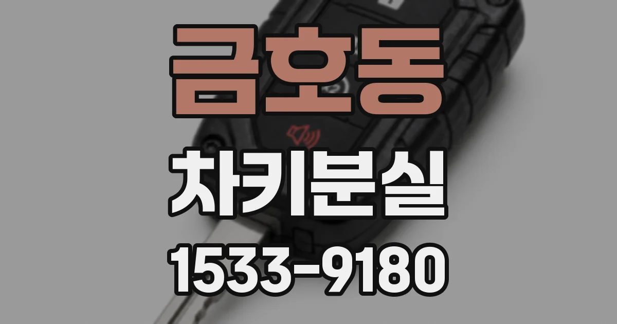 금호동 차키분실