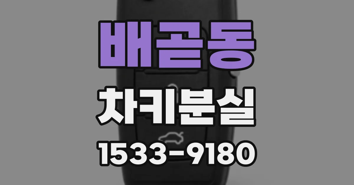 배곧동 차키분실