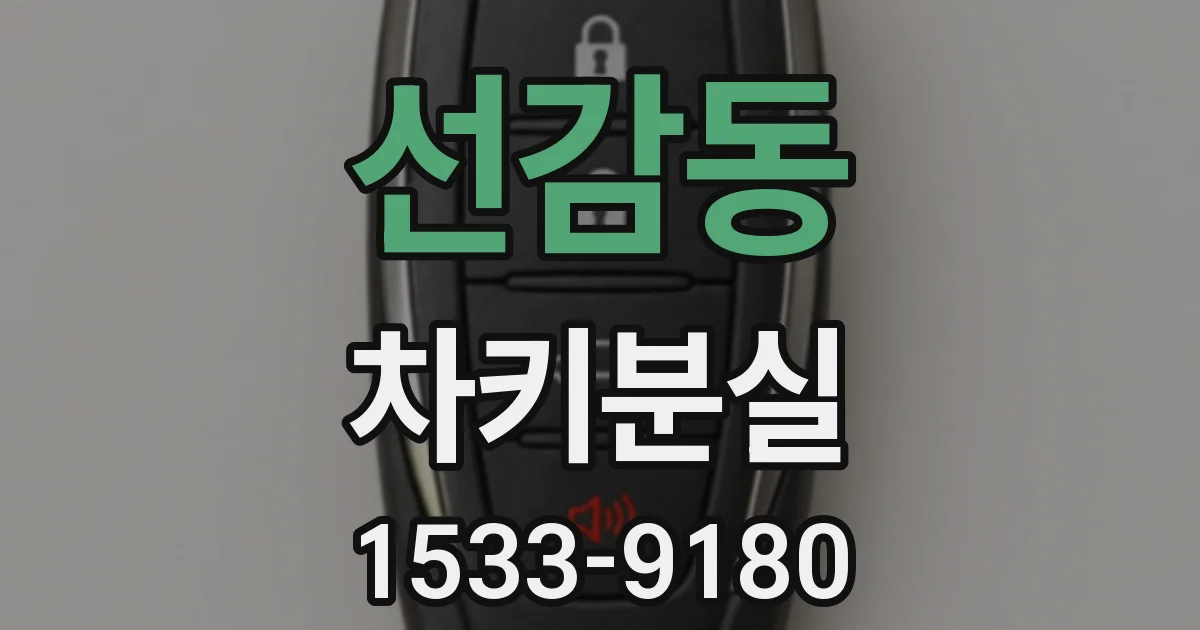선감동 차키분실
